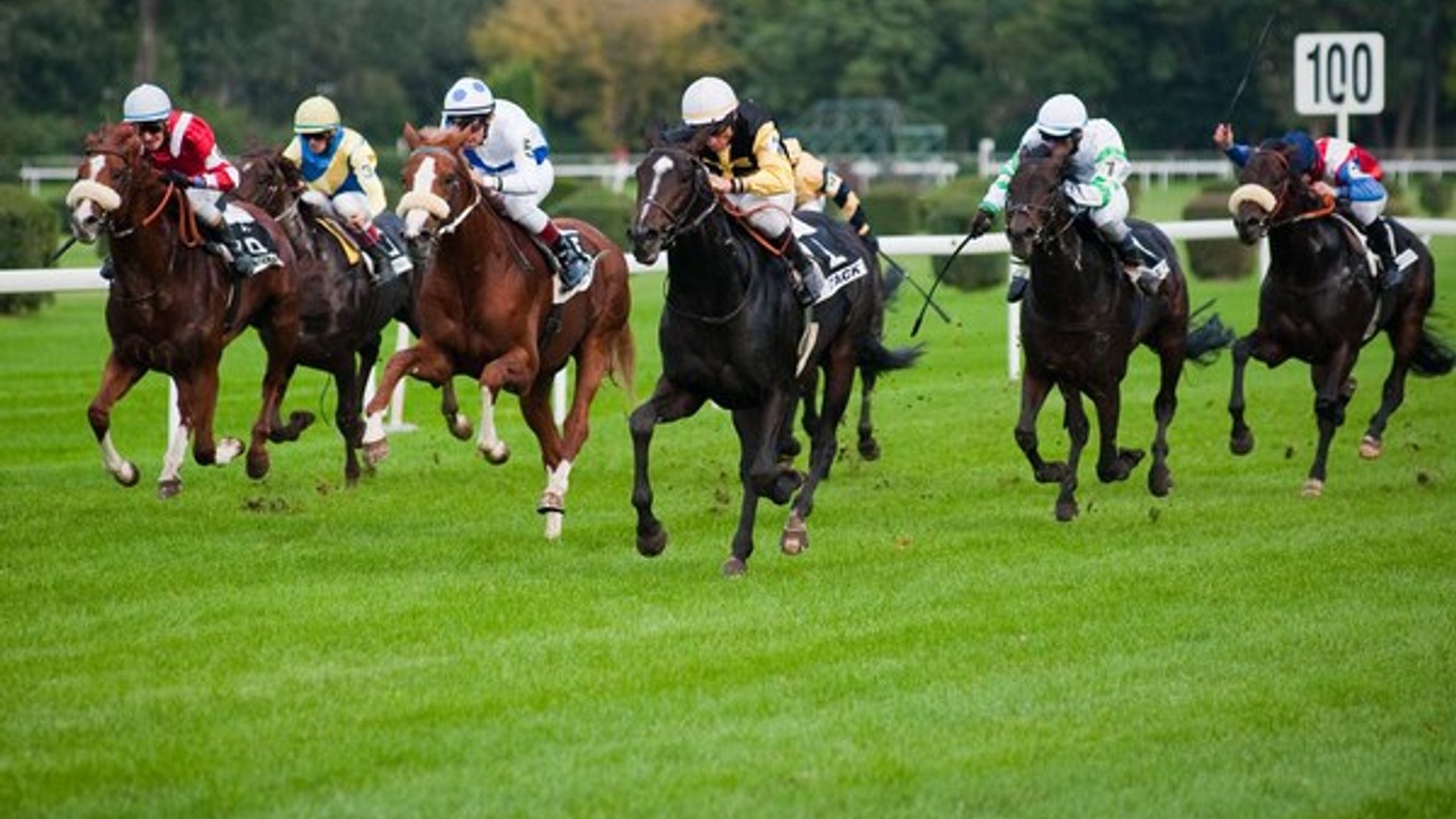 Podobne ako ľudia, aj dostihové kone dosahujú na pretekoch rýchlejšie časy.