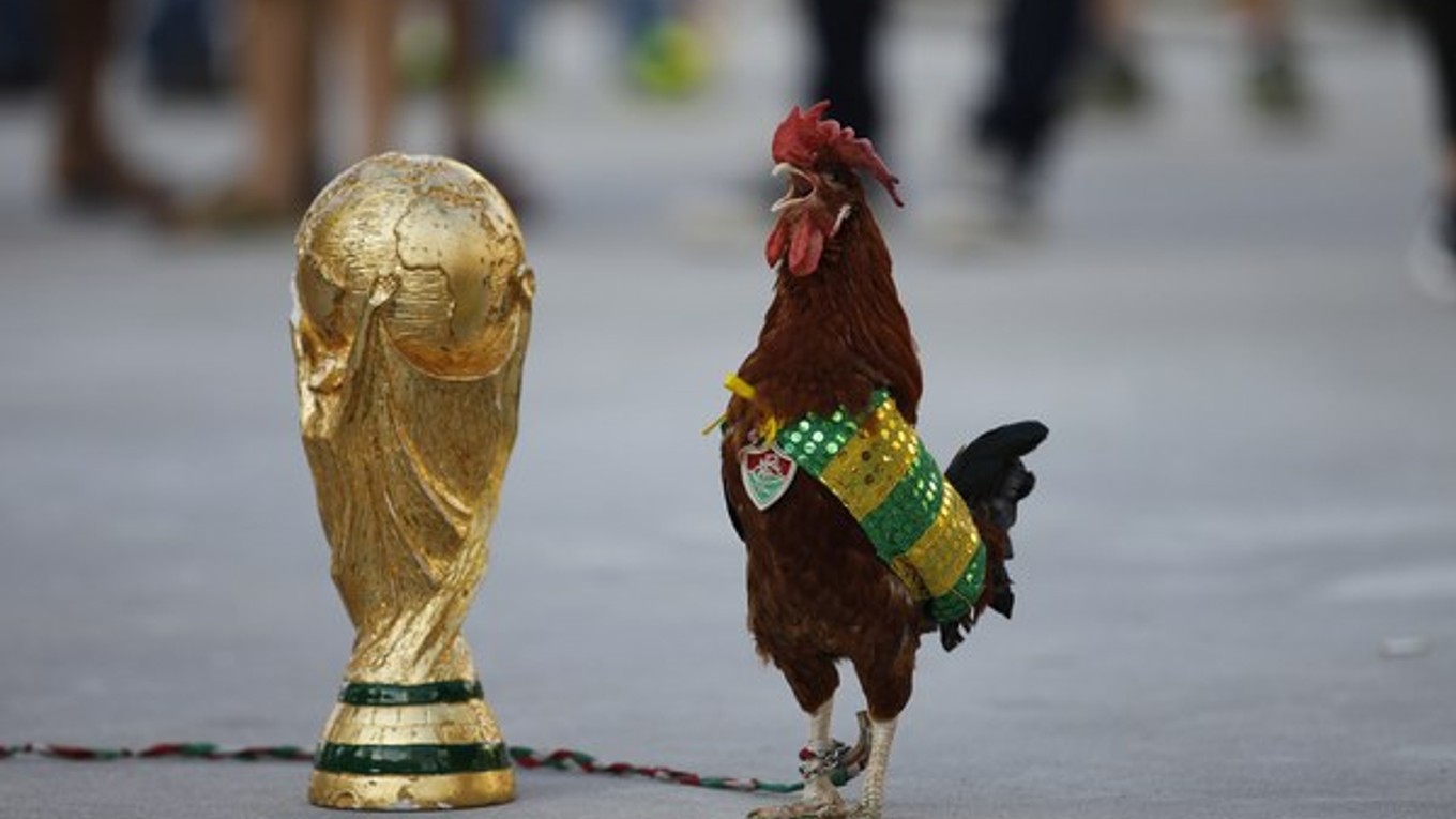 Originálnu trofej vidia futbalisti len raz za štyri roky.