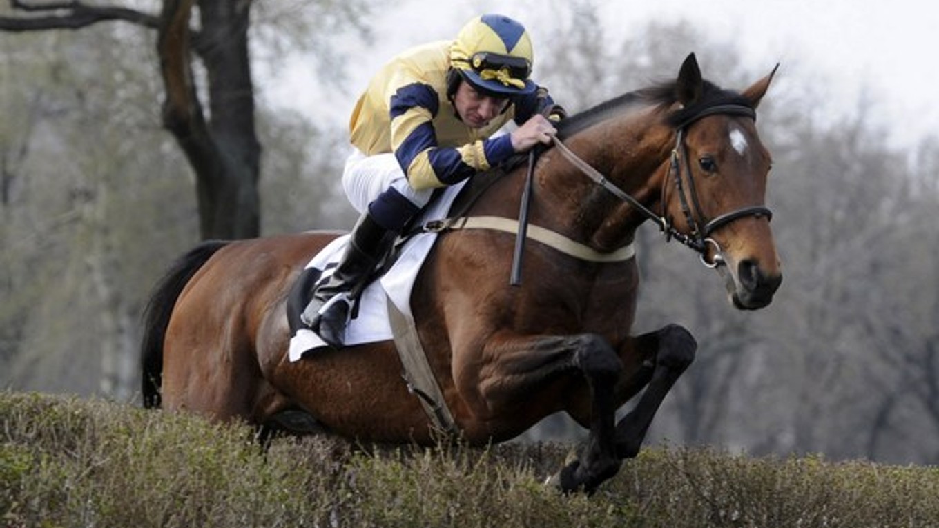 Jan Faltejsek vyhral dostihy aj v Bratislave. V roku 2009 s koňom Masini vyhral 36. ročník Jarnej ceny Petržalky.