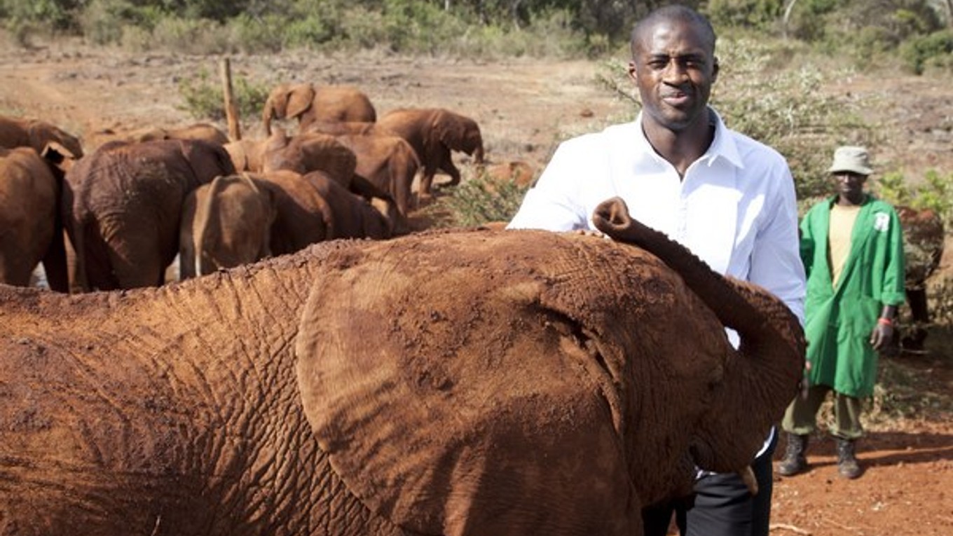 Yaya Touré na návšteve parku v Keni.