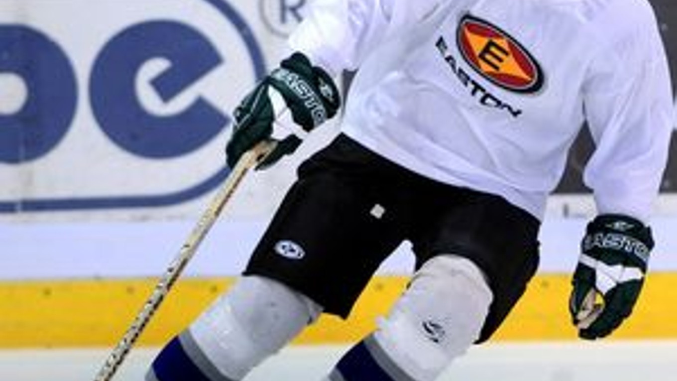 Žigmund Pálffy odohral za 12 sezón v NHL v tímoch New York Islanders, Los Angeles  a Pittsburgh  684 zápasov. Dosiahol 713 bodov. V januári 2006 náhle ukončil zámorskú kariéru, k hokeju sa vrátil po poldruha roku v Skalici. Majster sveta z Göteborgu dotia