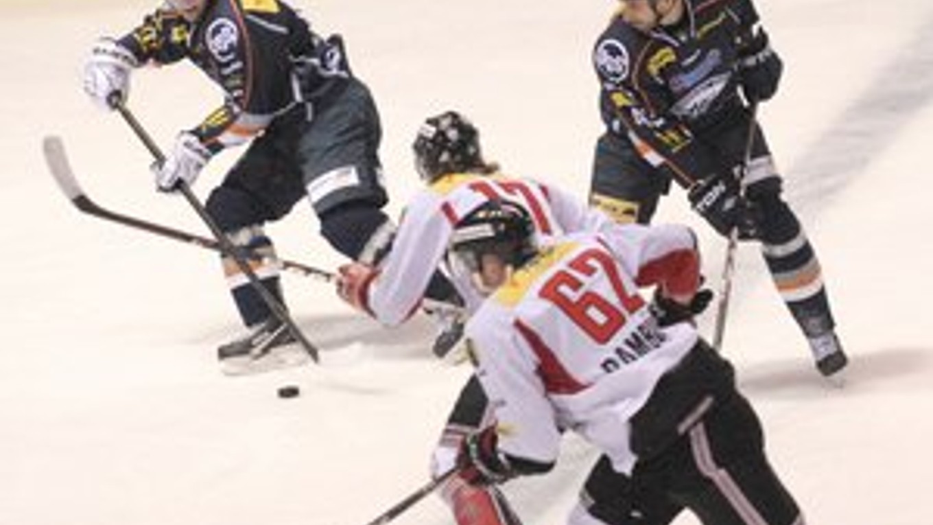 "Barani nepredajú kožu ľahko.