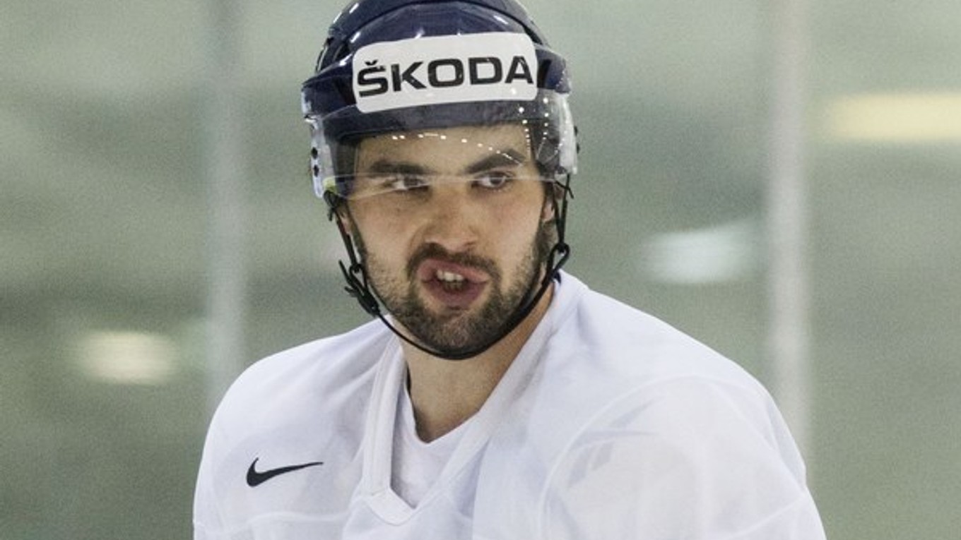 Vladimír Mihálik. Hotuje sa na ďalšiu náročnú sezónu v klube aj repre.