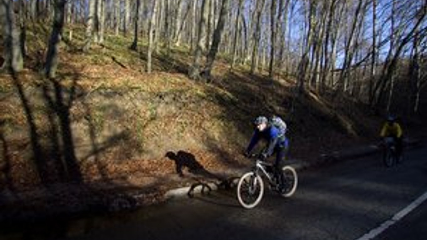 Cyklisti schádzali smerom ku Kamenici nad Cirochou od vysťahovanej obce. Je vo vojenskom obvode Valaškovce.