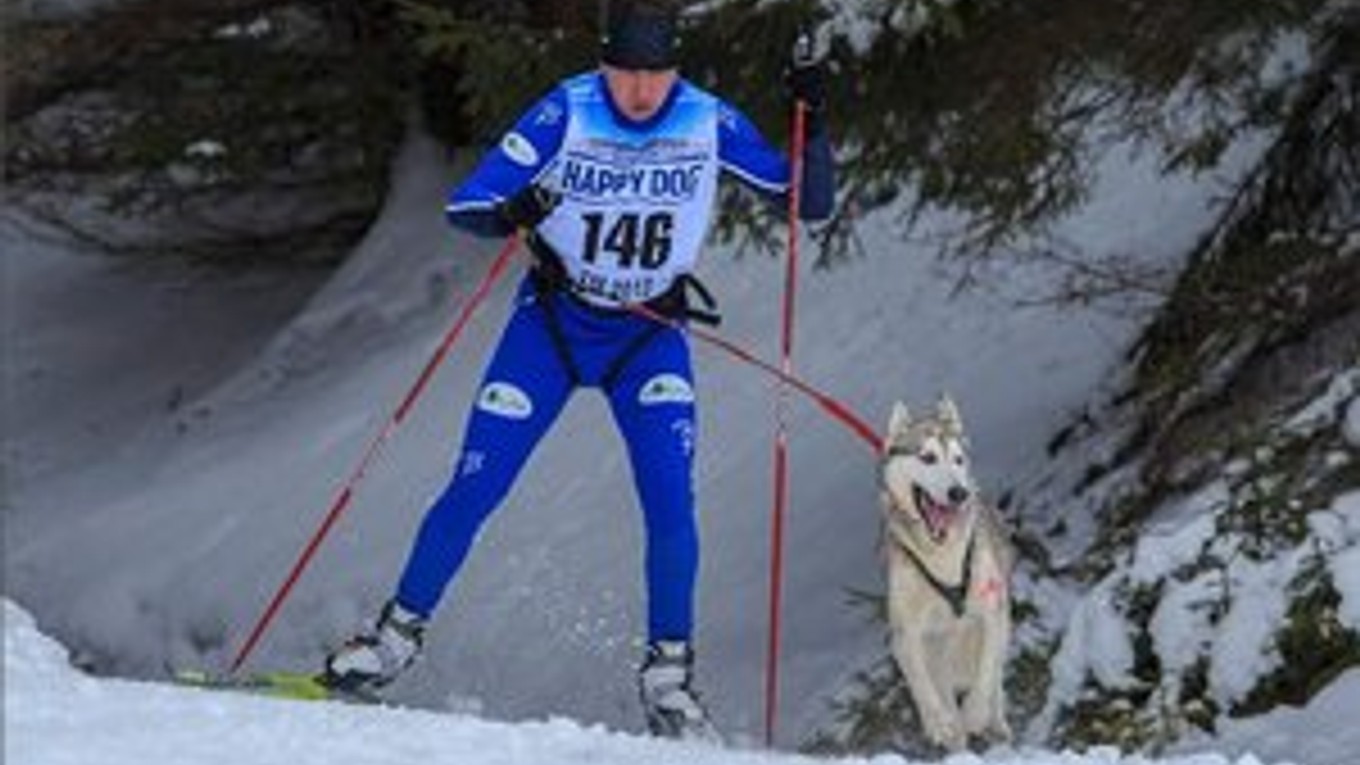 Európski šampióni. Igor Štefan so psom Puňťom obhájili titul majstra Európy.