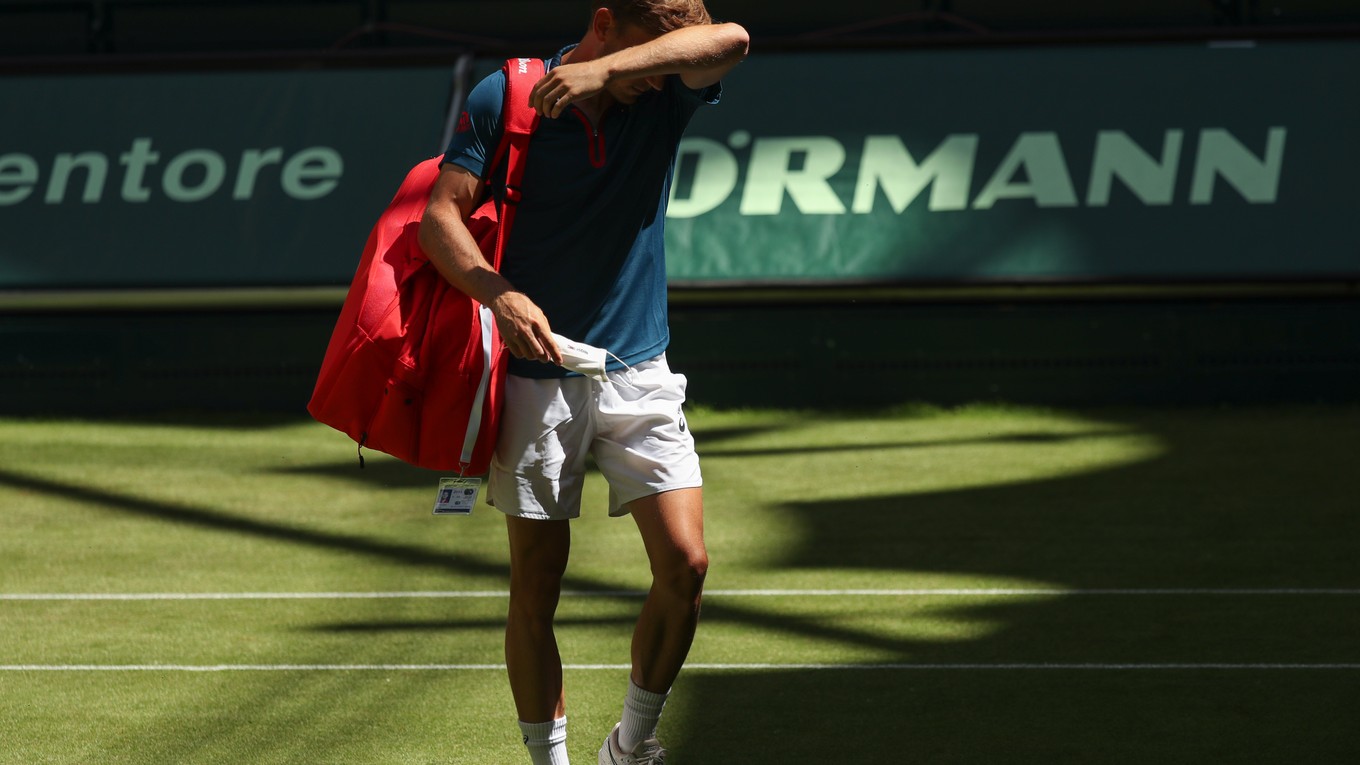 David Goffin.