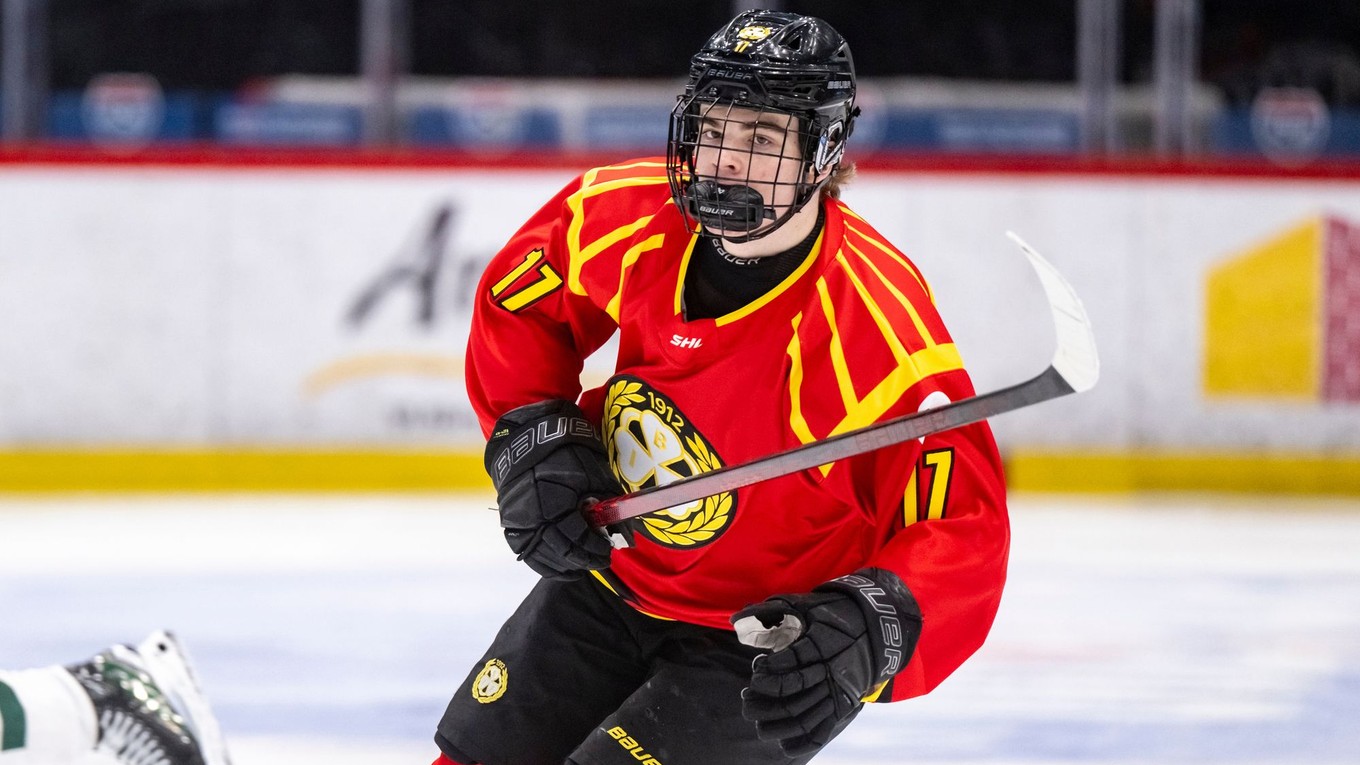 Slovenský útočník Michal Svrček v drese Brynäs IF. 