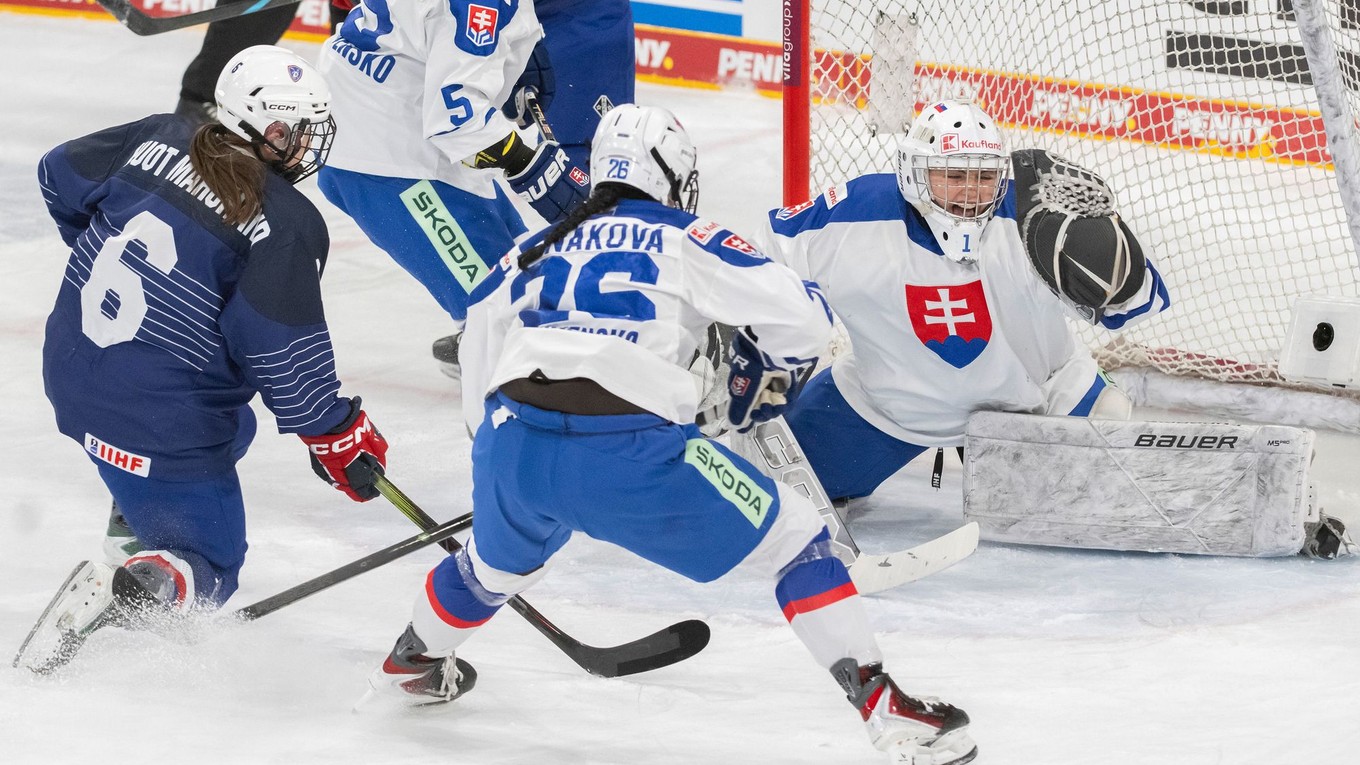 Fotka zo zápasu Slovensko - Francúzsko na Nemeckom pohári 2025.