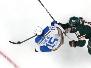 Dalibor Dvorský v zápase proti Minnesote.
