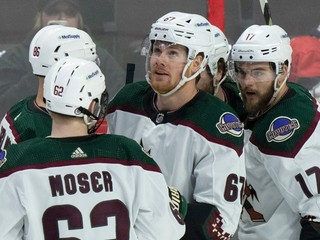 Hráči Arizony Coyotes.