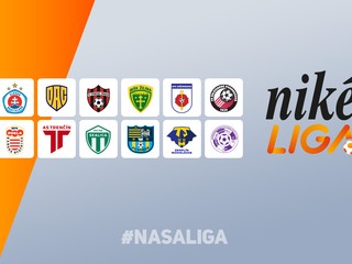 Niké liga logo