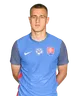 Máté Szolgai