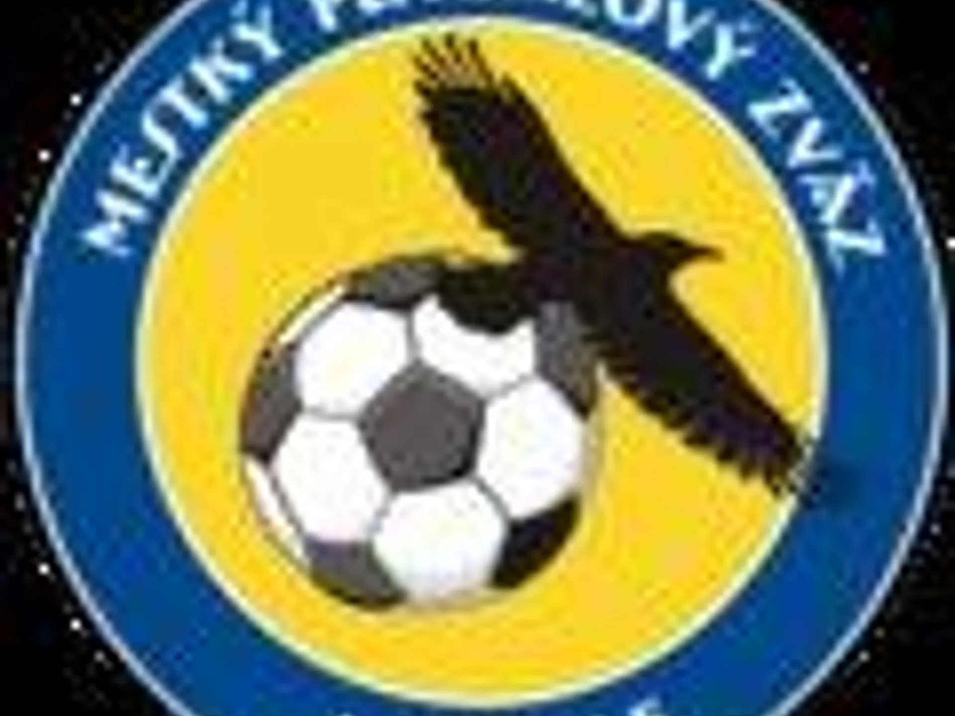 Halový turnaj o Pohár Štefana Sedláka