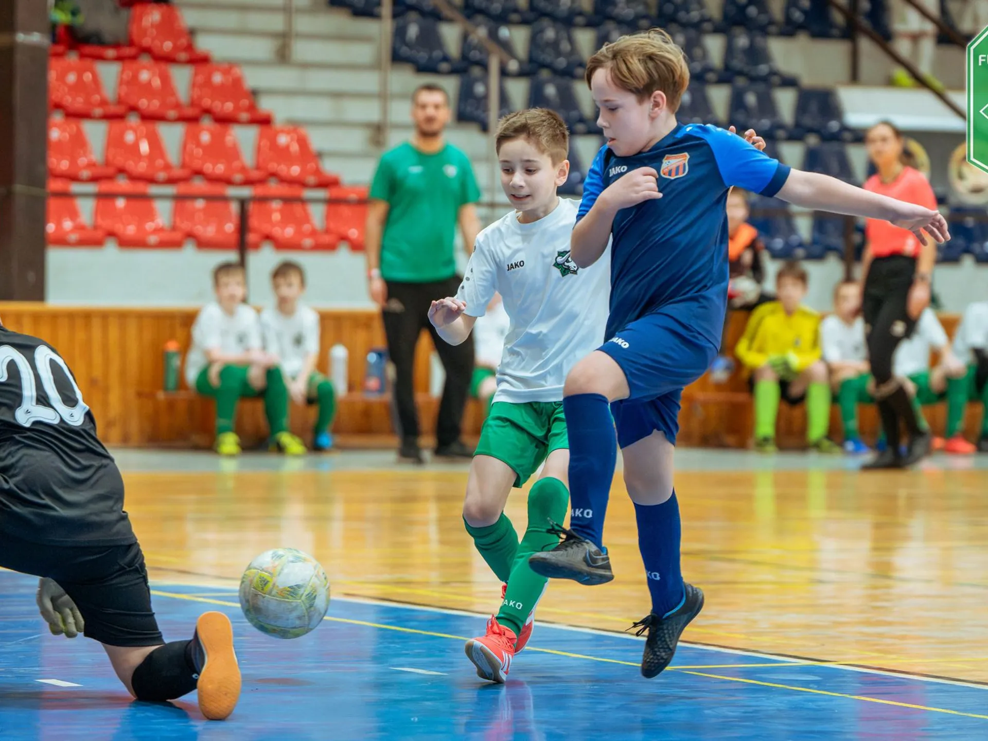 PROPOZÍCIE a ROZPIS ZÁPASOV halového turnaja prípraviek U9 dňa 15.02.2026 v Šuranoch