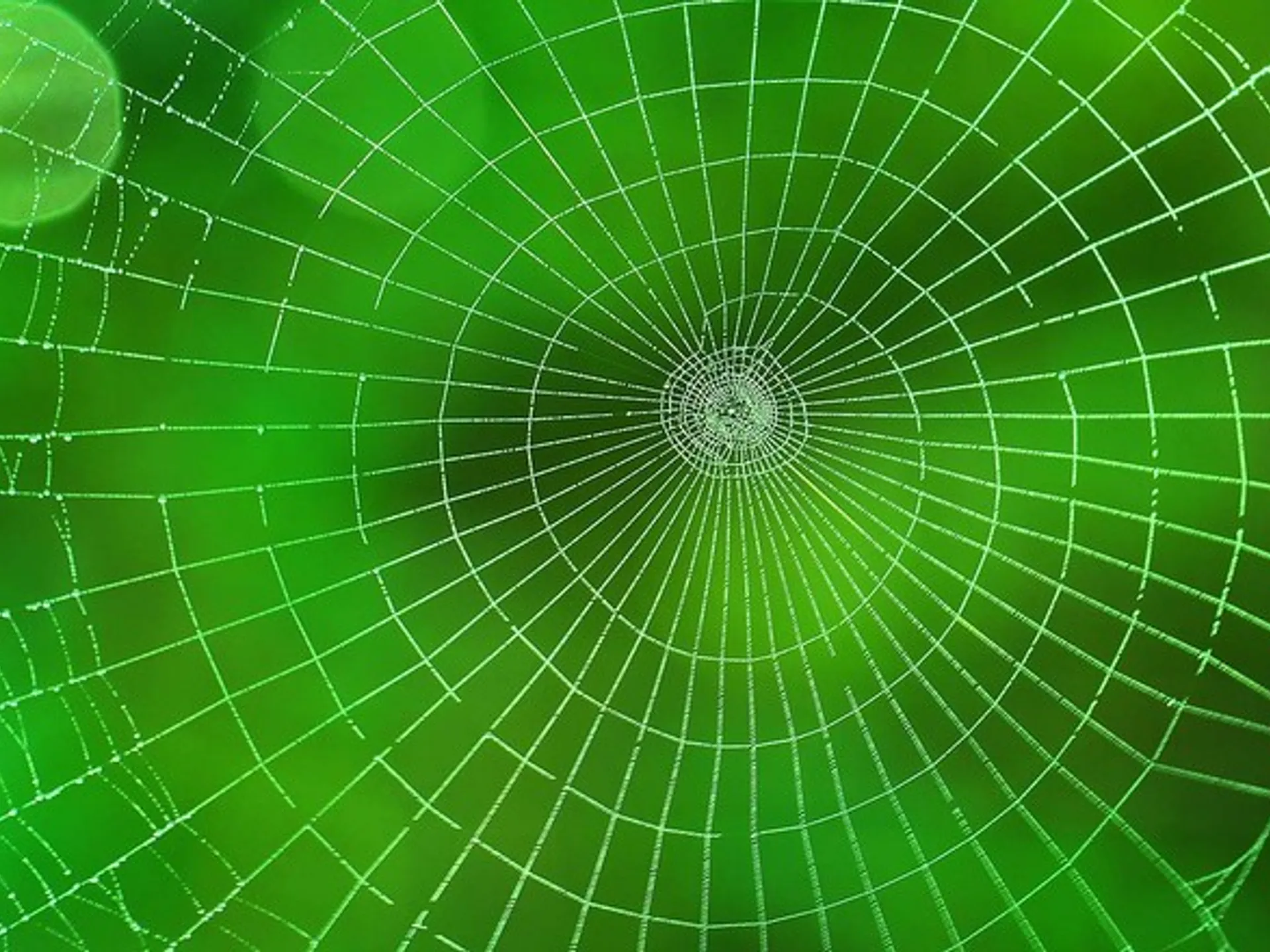 Pavúk 9.ročníka Pohára PFZ 2025/2026