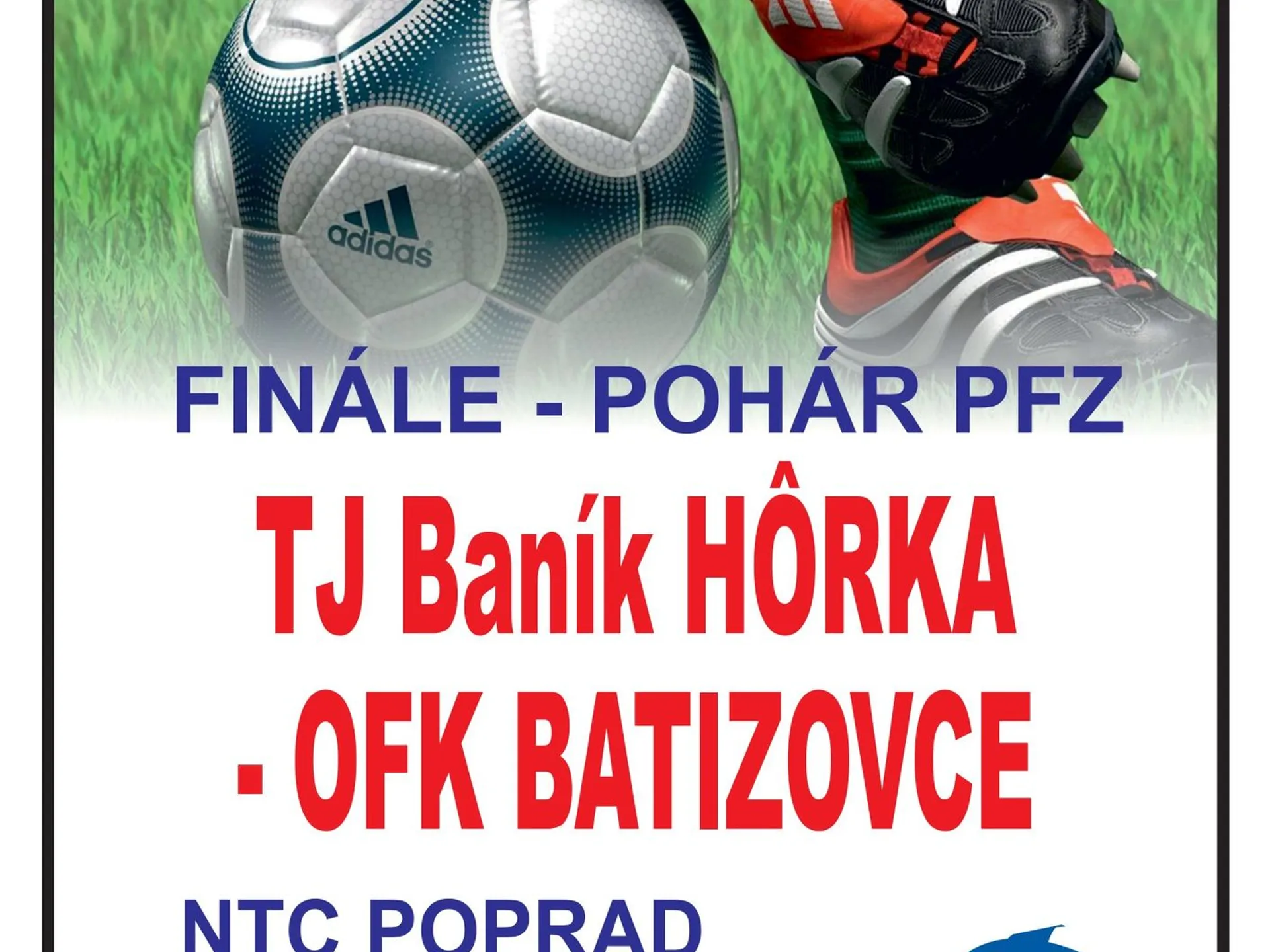 Finále pohára PFZ