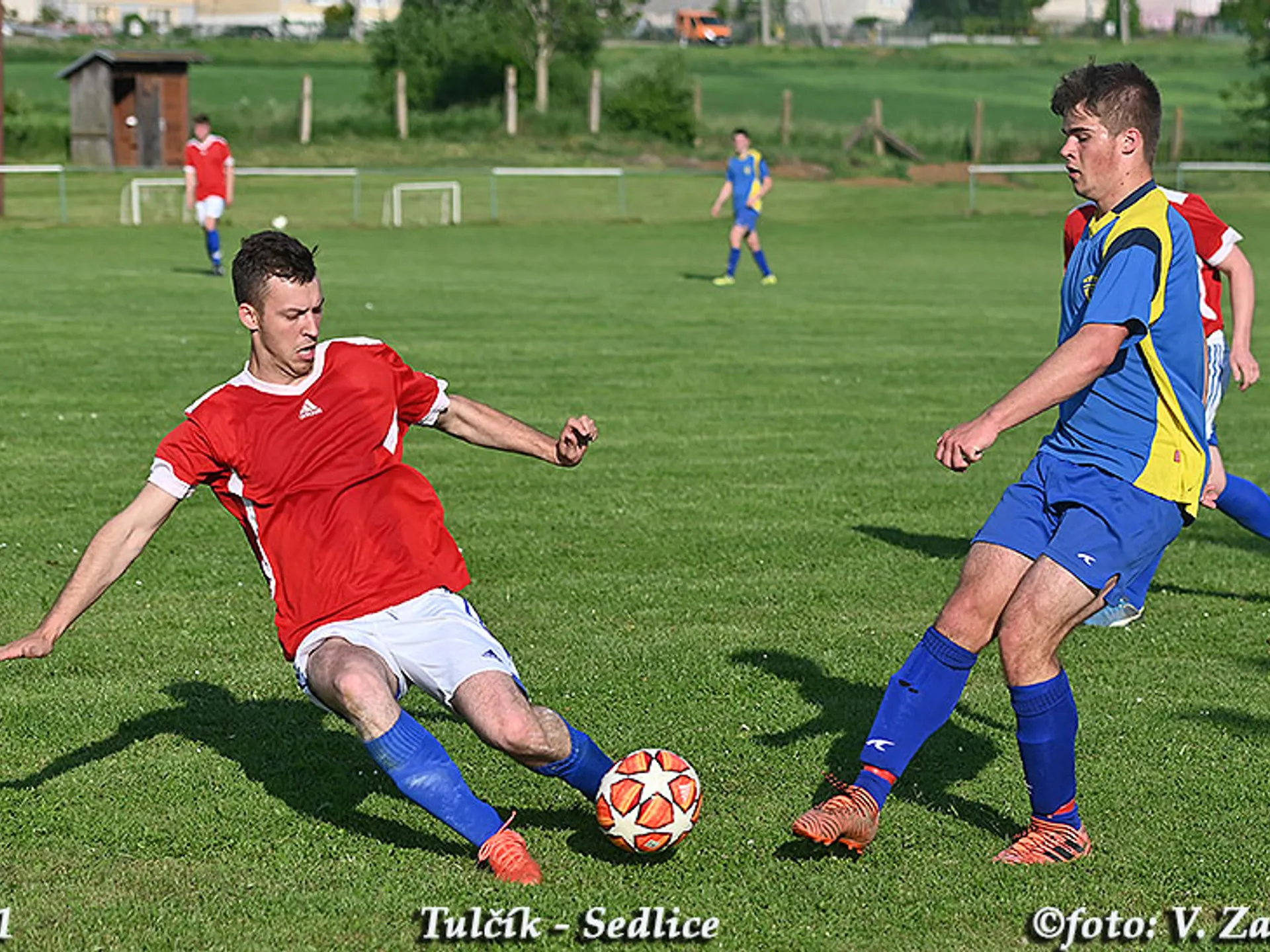 ZELENÁ PRE MANŽELA