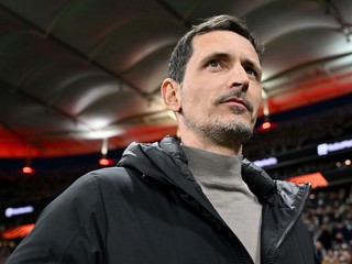 Dino Toppmöller.