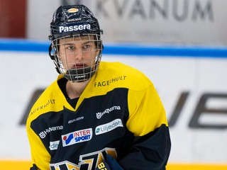 Connor Bedard v drese HV 71.