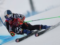 New Zealand's Alice Robinson speeds down the course during an alpine ski, women's World Cup giant slalom, in Sestriere, Italy, Saturday, Feb. 22, 2025. (AP Photo/Marco Trovati)