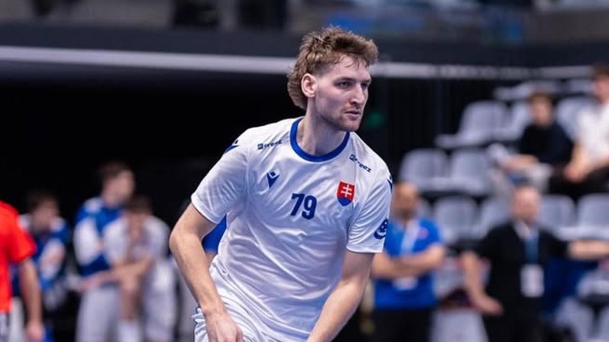 Momentka zo zápasu Slovensko - Francúzsko.