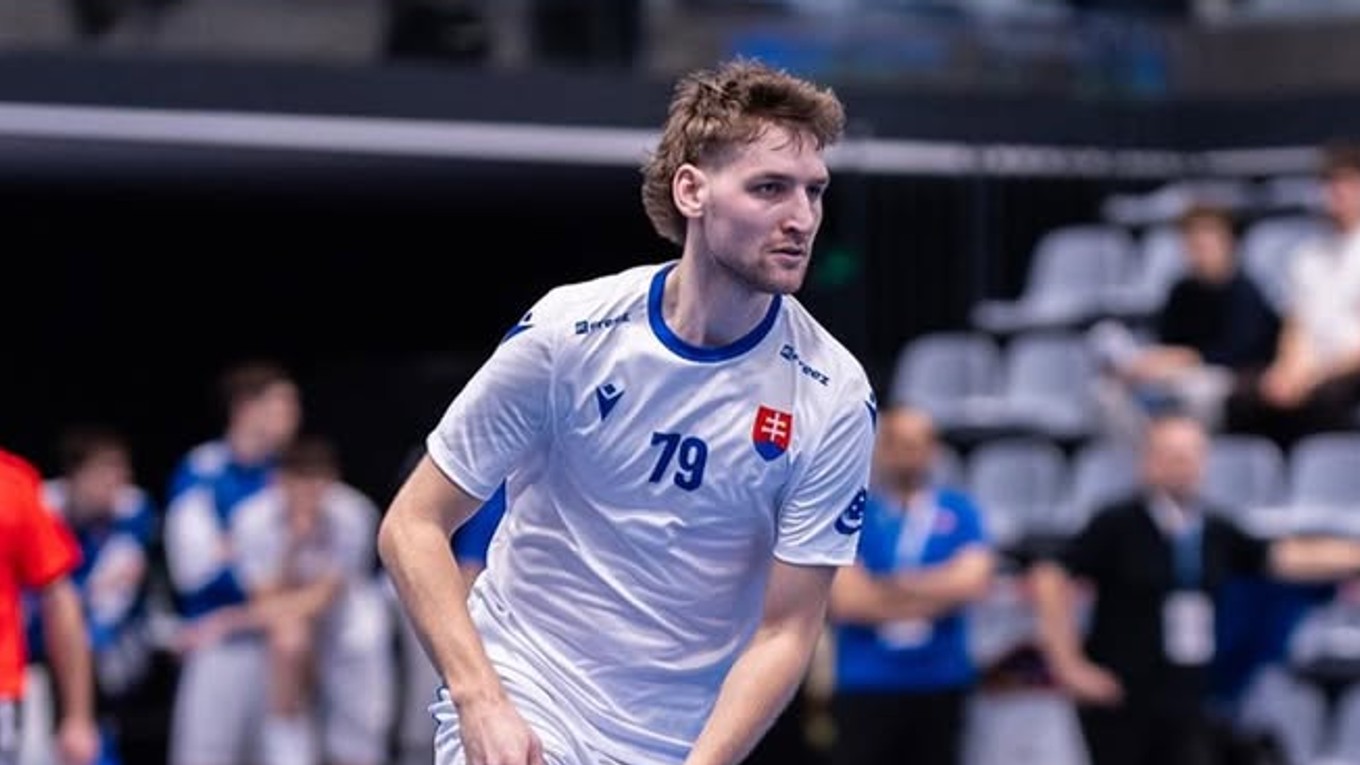 Momentka zo zápasu Slovensko - Francúzsko.