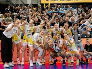 Piešťanské Čajky.