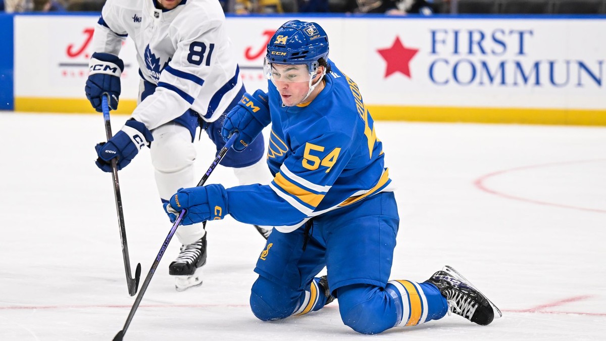 Slovenský hráč St. Louis Blues Dalibor Dvorský (vpravo).