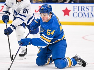 Slovenský hráč St. Louis Blues Dalibor Dvorský (vpravo).