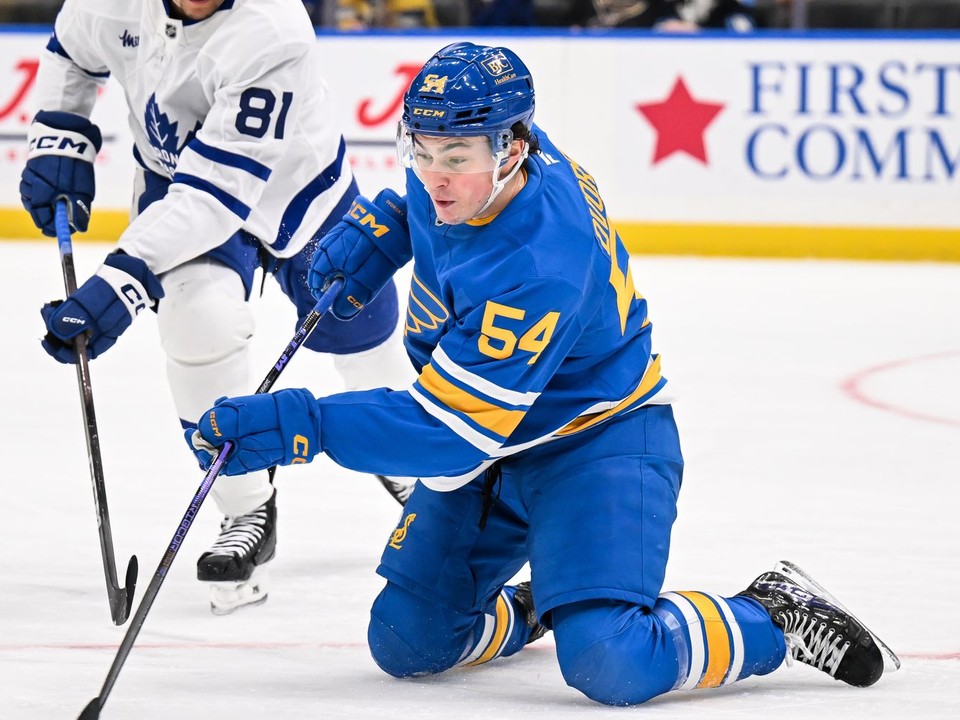 Slovenský hráč St. Louis Blues Dalibor Dvorský (vpravo).
