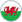 Wales na EURO 2020 / 2021