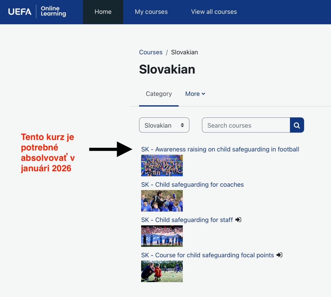 Alternatívny kurz k Ochrane detí.jpeg