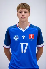 Fotografia osoby Christian Hamšík