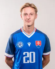 Fotografia osoby Miroslav Sovič