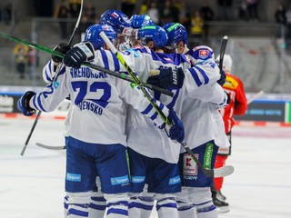 Slovenskí hokejisti.