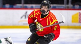 Slovenský útočník Michal Svrček v drese Brynäs IF. 