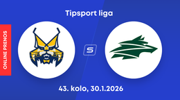 HK Spišská Nová Ves - Vlci Žilina: ONLINE prenos zo zápasu 43. kola Tipsport ligy.