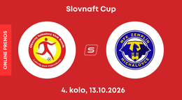 OFK Baník Lehota pod Vtáčnikom - MFK Zemplín Michalovce: ONLINE prenos zo zápasu 4. kola Slovnaft Cupu. 