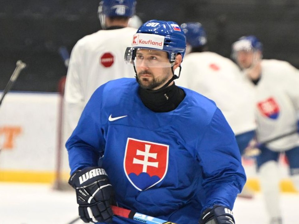 Na snímke vľavo Tomáš Tatar.