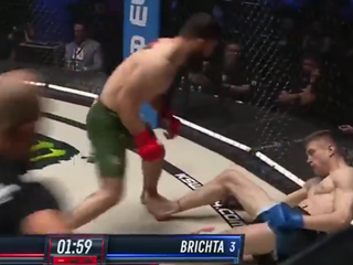 Soldaev knokautuje Brichtu.