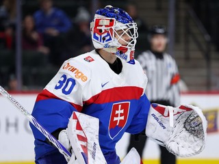 Slovenský brankár Alan Lenďák reaguje v zápase základnej A-skupiny Švédsko - Slovensko na MS hráčov do 20 rokov.