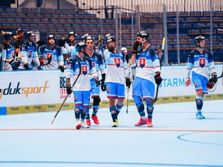 Slovenskí hokejbalisti