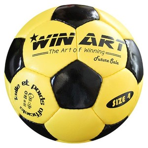Futsalová lopta Winart Future Sala