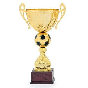 Športový pohár 40 cm s gravírovaním 