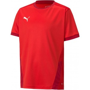 Dres Puma teamGOAL 23 Jersey Jr