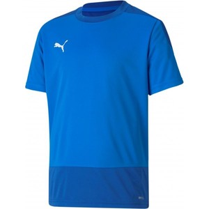 Dres Puma teamGOAL 23 Training Jersey