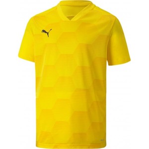 Dres Puma teamFINAL 21 Graphic Jersey