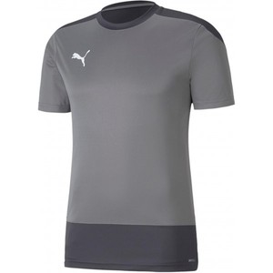 Dres Puma teamGOAL 23 Training Jersey