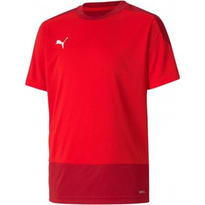 Dres Puma teamGOAL 23 Training Jersey