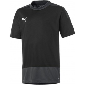 Dres Puma teamGOAL 23 Training Jersey